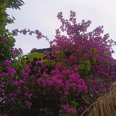 Yolo ホテル ムーラ